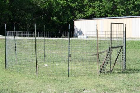 cheap hog traps